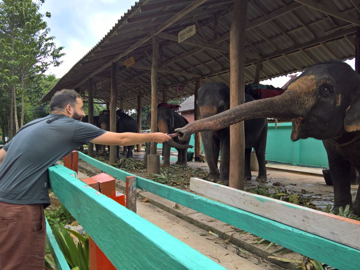 Yves füttert einen Elefanten
